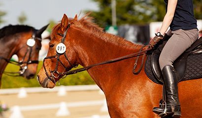Paardensport op Texel