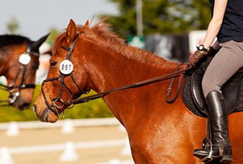 Paardensport op Texel
